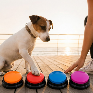 Pet Communication Training Button