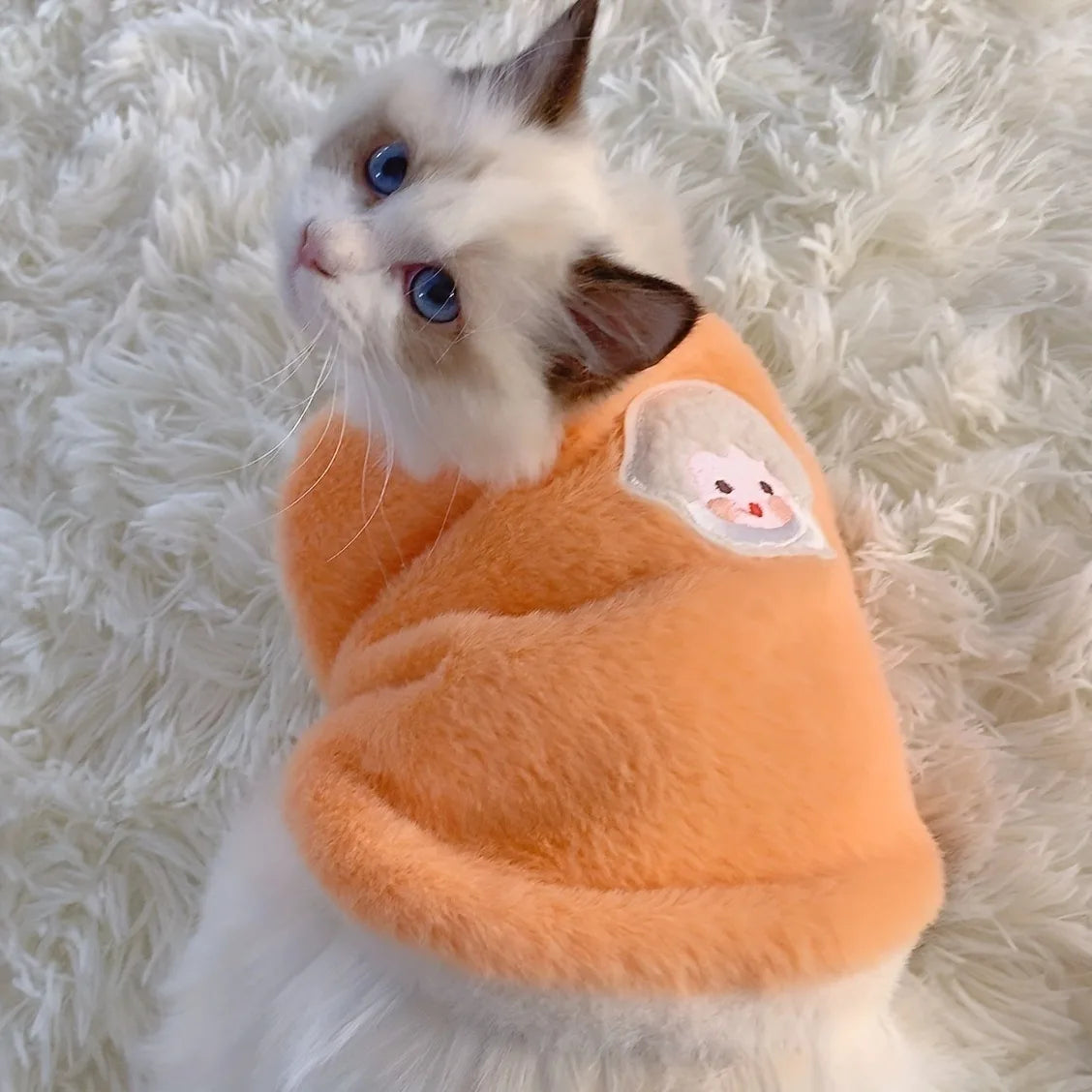 Warm Cat Sweater Vest for Winter