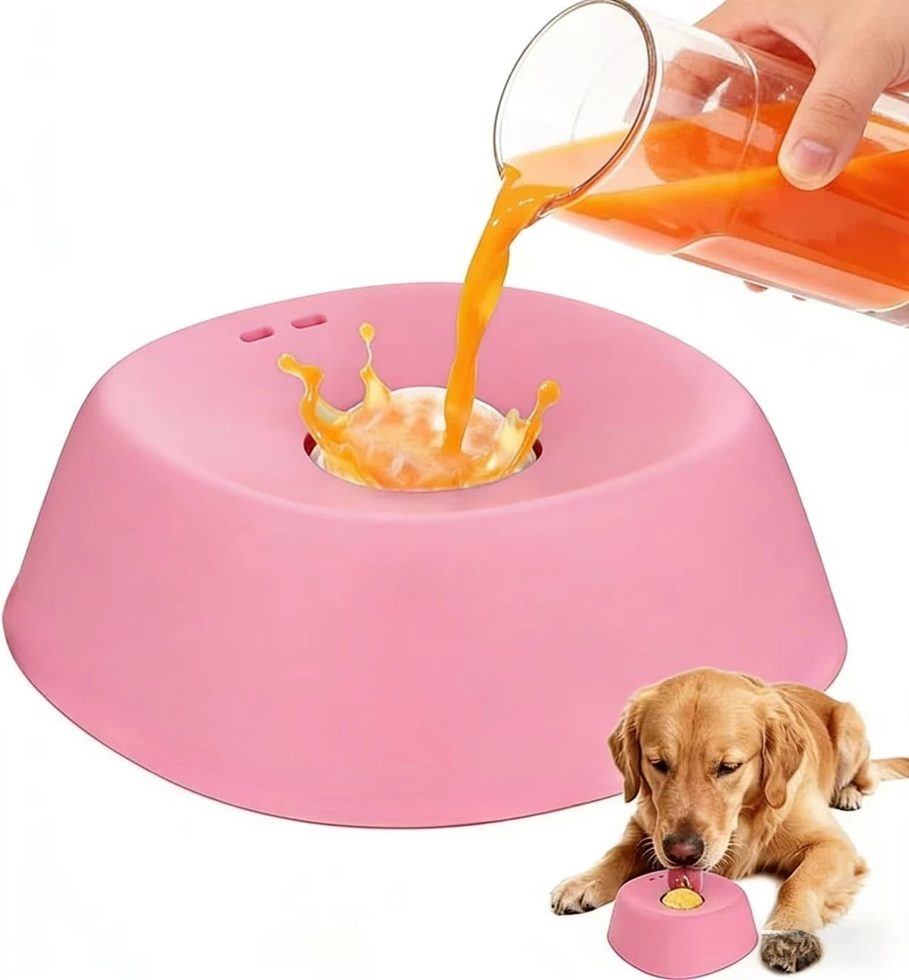 Slow Feed Lick Bowl