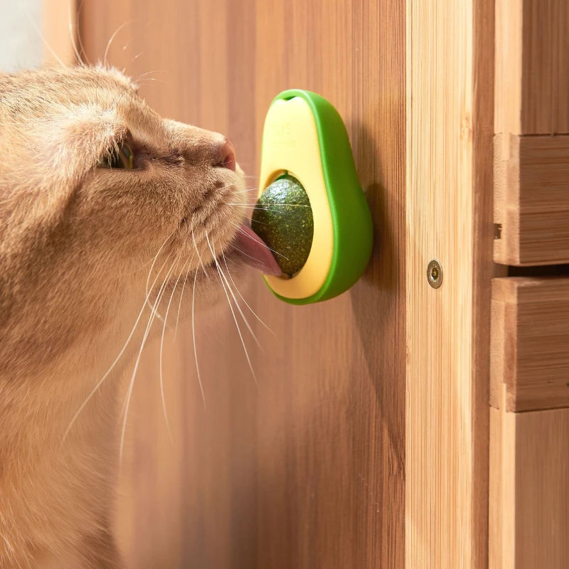 Rotating Catnip Wall Ball Toy for Cats