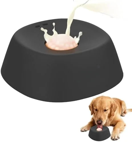 Slow Feed Lick Bowl