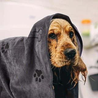 Quick Dry Pet Towel