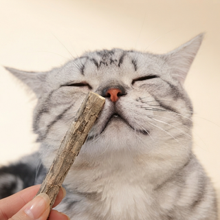 Catnip Natural Matatabi Cat Chew Sticks (20 Pack)