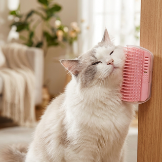 Cat Corner Grooming Brush with Catnip