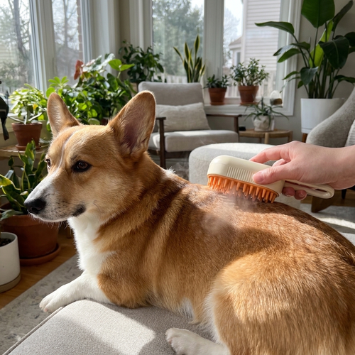 3-in-1 Pet Spray Grooming Brush for Dogs & Cats