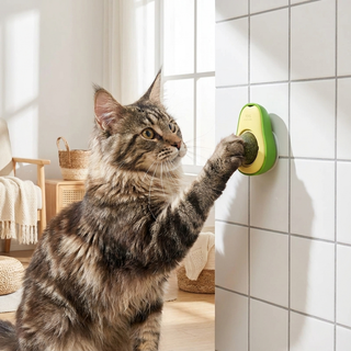 Rotating Catnip Wall Ball Toy for Cats