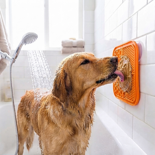 Silicone Slow Feeder Lick Mat for Dogs & Cats