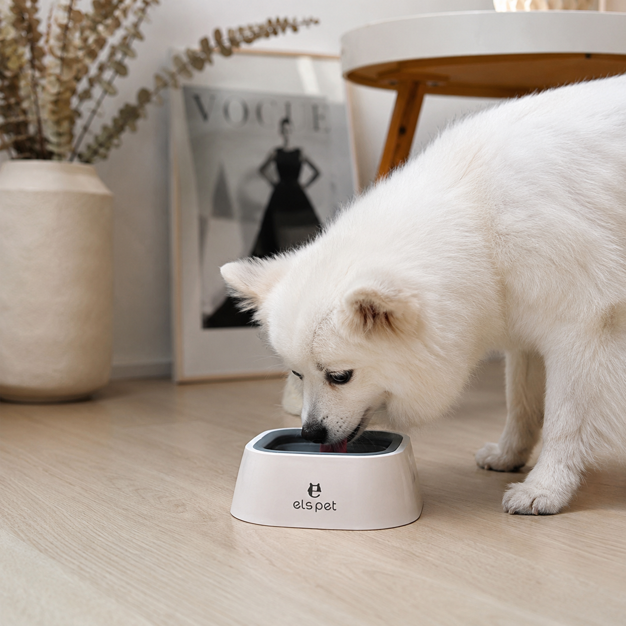 Splash Guard Pet Water Bowl